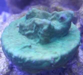 20171123_164707.jpg