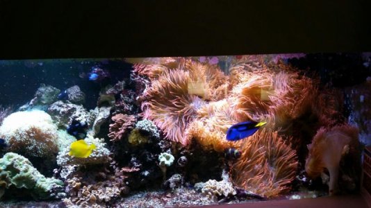 2017-11-26 06.38.17.jpg