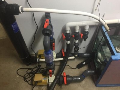 EC18E805-C7E9-4A05-AAAC-53E5E9034BBA.jpg
