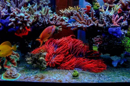 C7E95151-07C0-4112-96CE-82A18ED55A9A.jpg