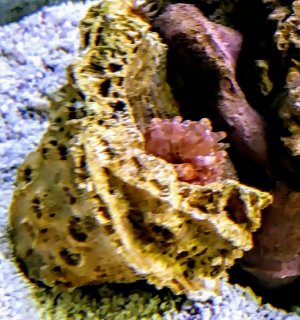 20180116_094814-1-1-1.jpg