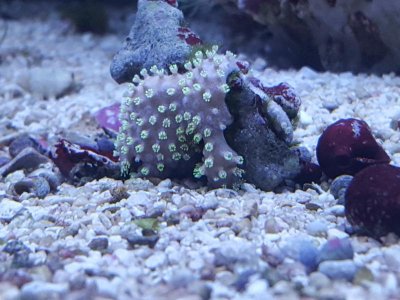 20171124_111438.jpg