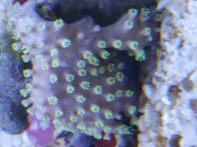 20171124_111418.jpg