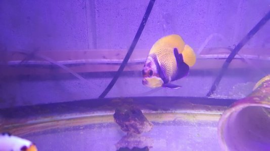 mini-20171128_174217.jpg