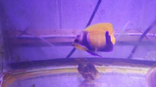 mini-20171128_174222.jpg