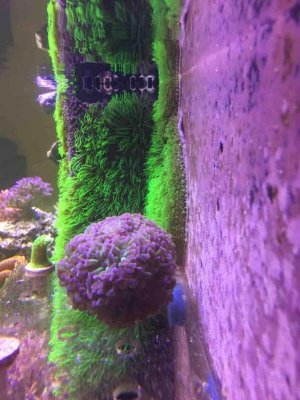 IMG_4221.jpg IMG_4221.jpg