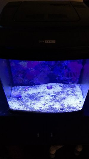 IMG_20171129_095133404.jpg