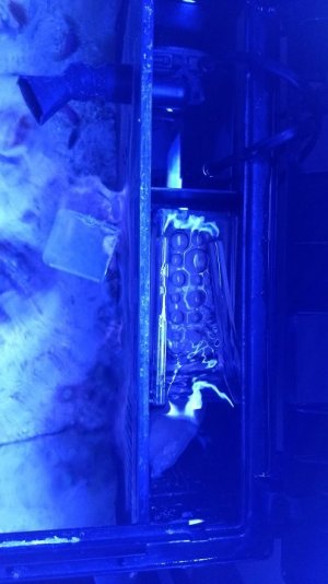 IMG_20171117_165015386.jpg