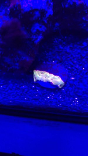 IMG_6463.jpg IMG_6463.jpg