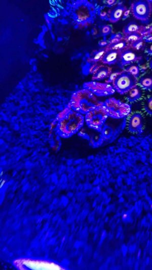 IMG_6462.jpg IMG_6462.jpg