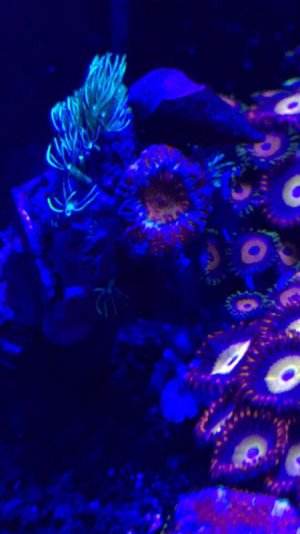 IMG_6466.jpg IMG_6466.jpg