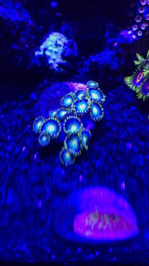 IMG_6465.jpg IMG_6465.jpg