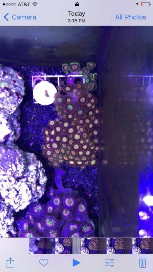 IMG_5988.jpg IMG_5988.jpg