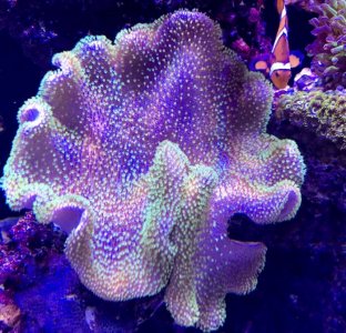 E541295C-B615-45B2-BD18-5F7AFE8D9D58.jpg
