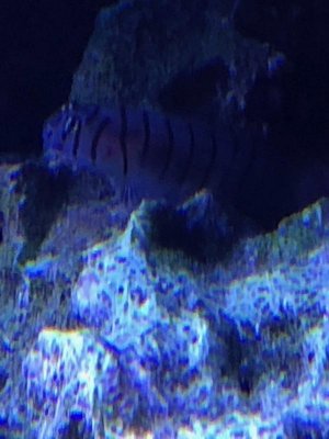 IMG_0036.jpg