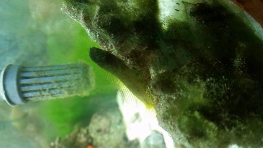 20171202_110037.jpg
