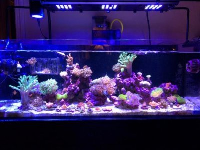 FTS_OCReef.jpg