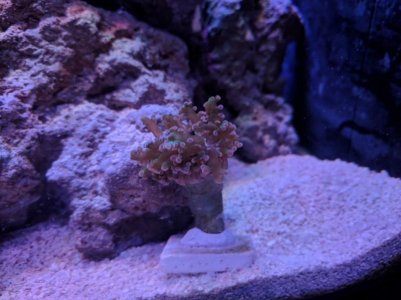 IMG_20180118_180905-800x600.jpg