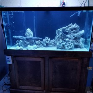 20171205_185644.jpg