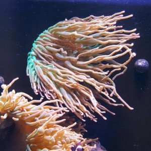 rps20180120_150437.jpg