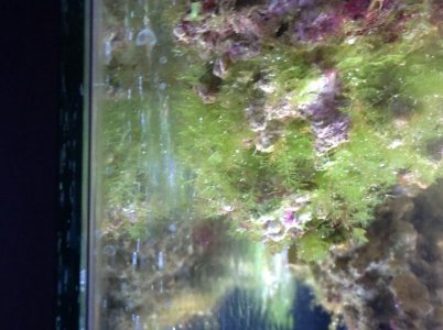 IMG_0416.jpg