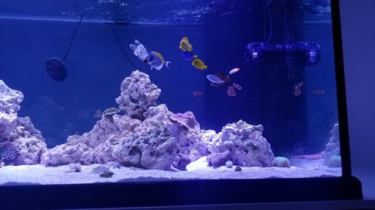 20180121_133931.jpg