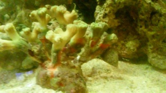20171204_081514.jpg