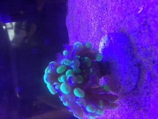 IMG_0785.JPG