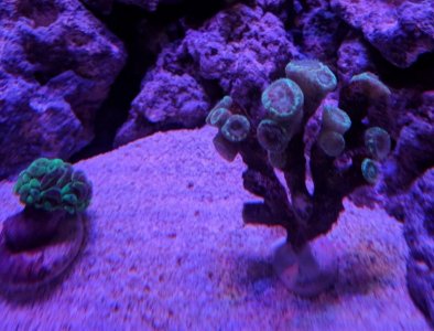 IMG_20180121_200122-800x610.jpg