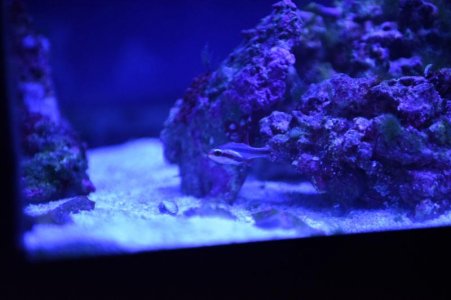 DSC_1121.jpg