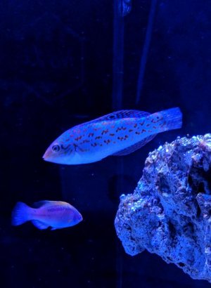 IMG_20171208_191208.jpg