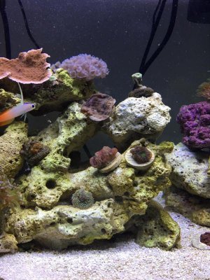 aquarium 1.jpg aquarium 1.jpg