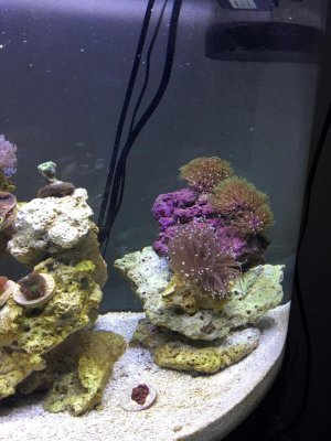 Aquarium 2.jpg