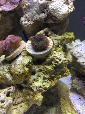 Aquarium 3.jpg Aquarium 3.jpg