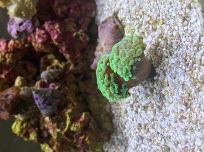 IMG_5450.jpg