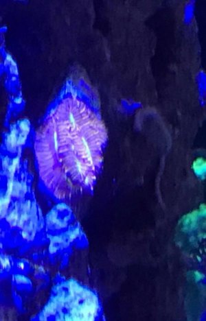 IMG_3036.jpg