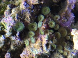 image1(2).jpeg