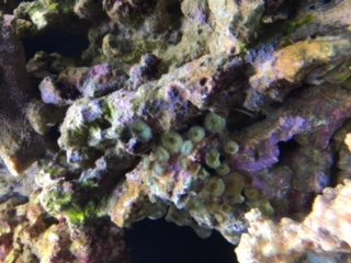 image2(2).jpeg