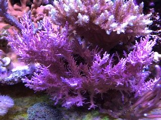 2AA1764D-2F73-4C4E-A295-8772E6A376CE.jpeg
