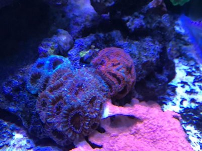 6EB8EEBB-8C05-4D9A-BE3D-2FB73CC91D6A.jpg