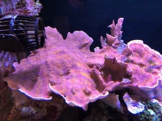 94E65E57-59BE-4A7C-AD1C-2F12AA5B12C2.jpeg