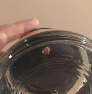 Snail ID.jpg