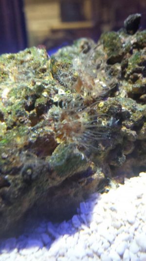 2018-01-25 22.31.26_preview.jpg