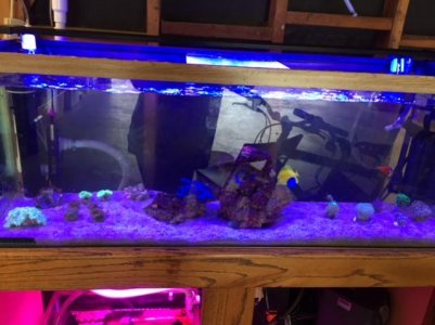 IMG_0805.jpg