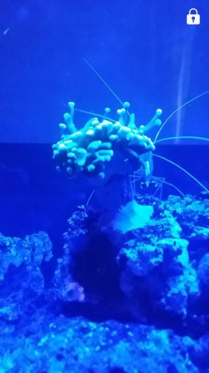 Screenshot_20180127-142921.jpg
