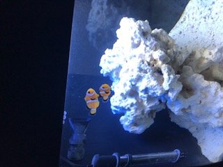 IMG_0238.jpg