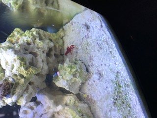 IMG_0308.jpg