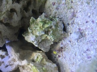 IMG_0342.JPG