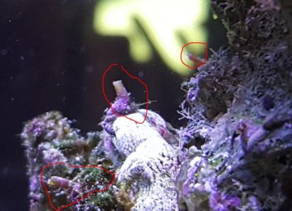they are everywhere.jpg