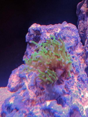 IMG_20180128_174932-600x790.jpg
